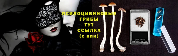 apvp Алексеевка