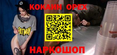 индика Кандалакша