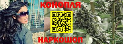 индика Кандалакша