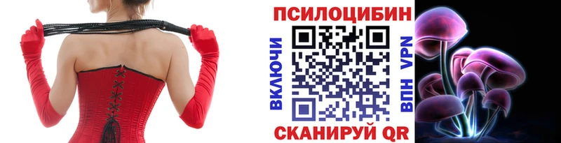 Псилоцибиновые грибы Cubensis  Кулебаки 