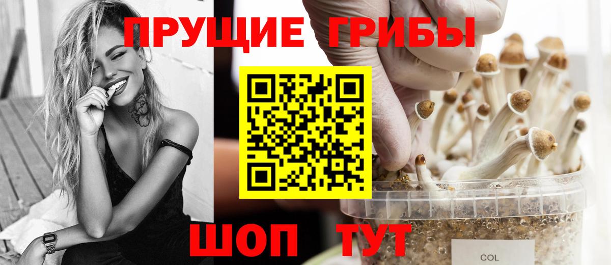 Псилоцибиновые грибы ЛСД  Галлюциногенные грибы Cubensis  Кулебаки  Вход с VPN 